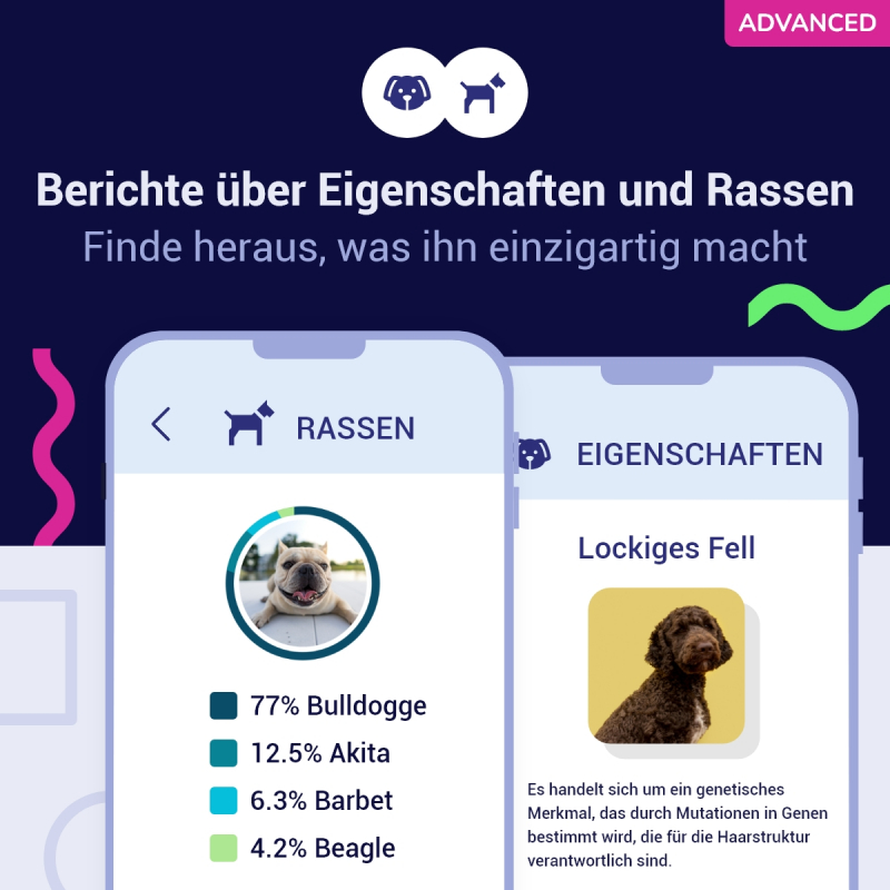 Advanced DNA Test Hunde 175 Gesundheitsberichte Und Rassen