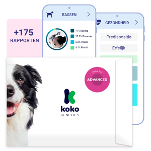 DNA-test voor honden Advanced