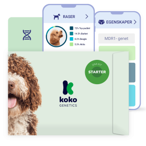 Starter DNA-test for hunder