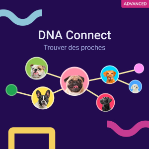Test ADN pour chien : principe, intérêts et fonctionnement