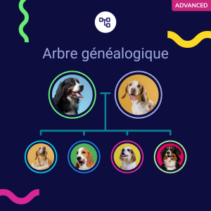 Test ADN chien : Avis et guide complet de présentation des tests génétiques  canins en France aux meilleurs prix (2024)