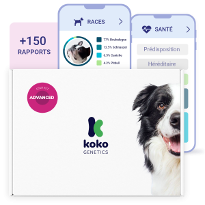 Test ADN pour chiens Advanced