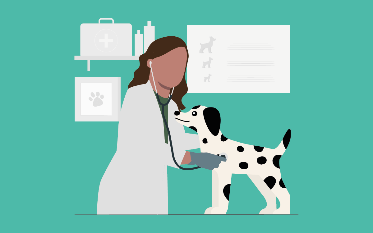 Perros y sus enfermedades hereditarias