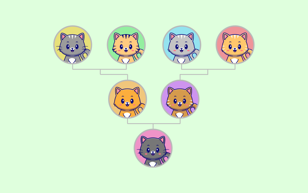 Descubre la historia oculta de tu mascota con su árbol genealógico