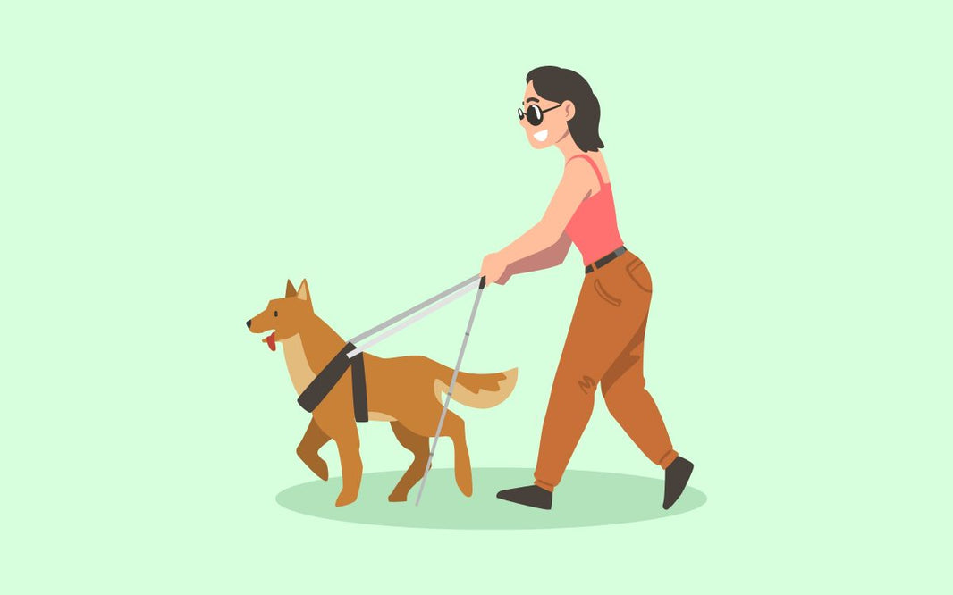 Perros guía: las razas más comunes y sus increíbles tareas