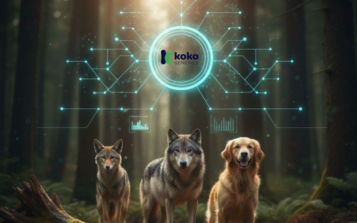 ¿El coyote es un perro? La verdad sobre su parentesco y su ADN