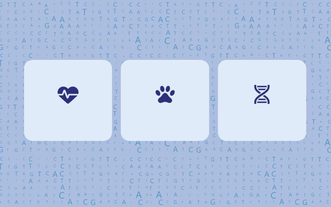 Raw Data Genético: Qué es, qué contiene y cómo descargarlo en Koko Genetics