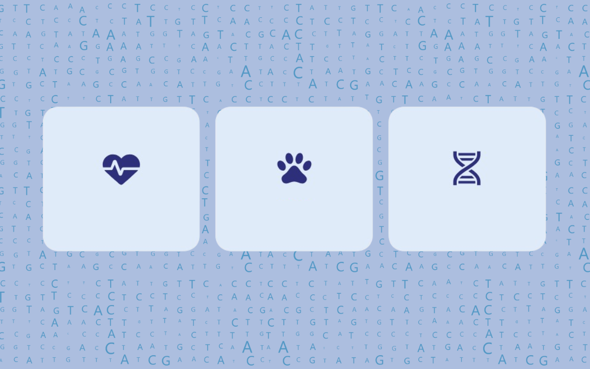 Raw Data Genético: Qué es, qué contiene y cómo descargarlo en Koko Genetics