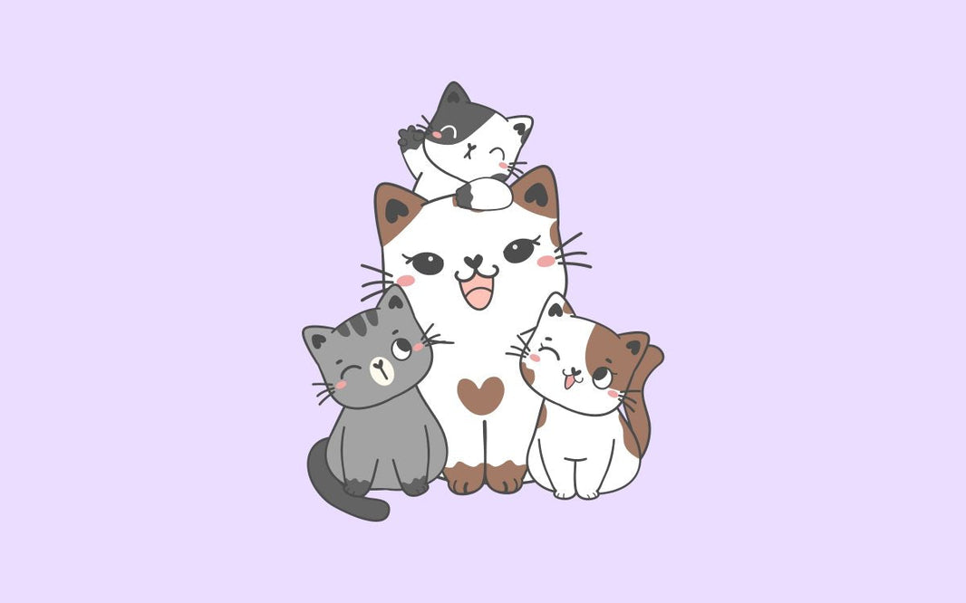 Tres cosas que no sabías del parto de los gatos