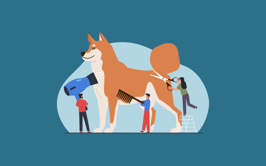 Genética del pelaje en perros: ¿Por qué algunas razas tienen pelo largo y otras están desnudas?