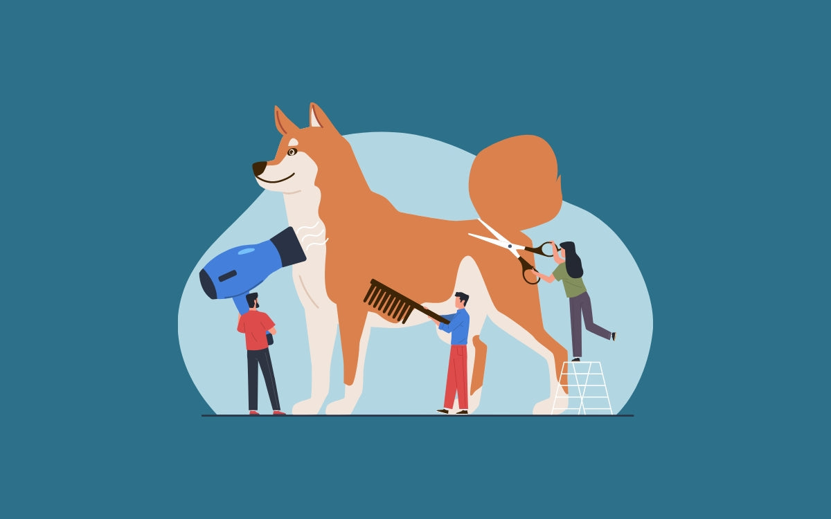 Genética del pelaje en perros: ¿Por qué algunas razas tienen pelo largo y otras están desnudas?