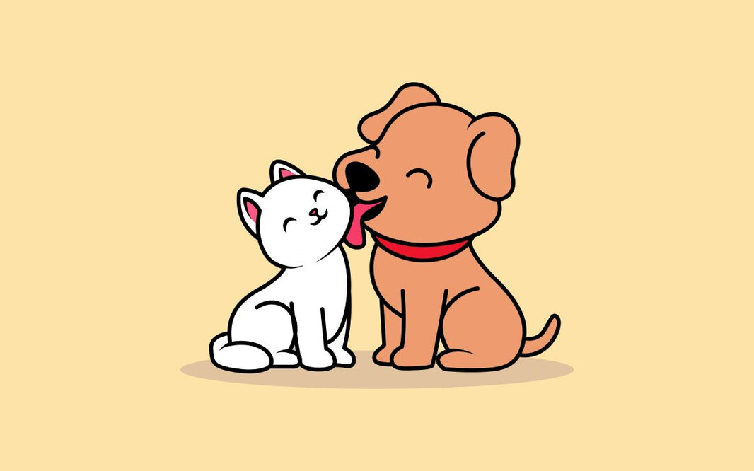 Novedad: los gatos se unen al análisis genético