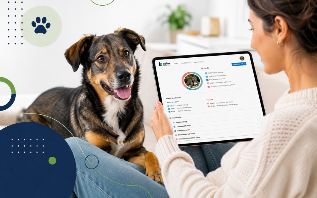 ¿Qué dicen realmente los resultados de tu test de ADN? Guía para entender el informe de tu perro