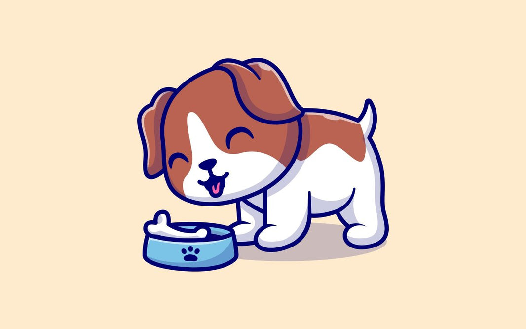 ¿Los perros y gatos tienen sentido del gusto?