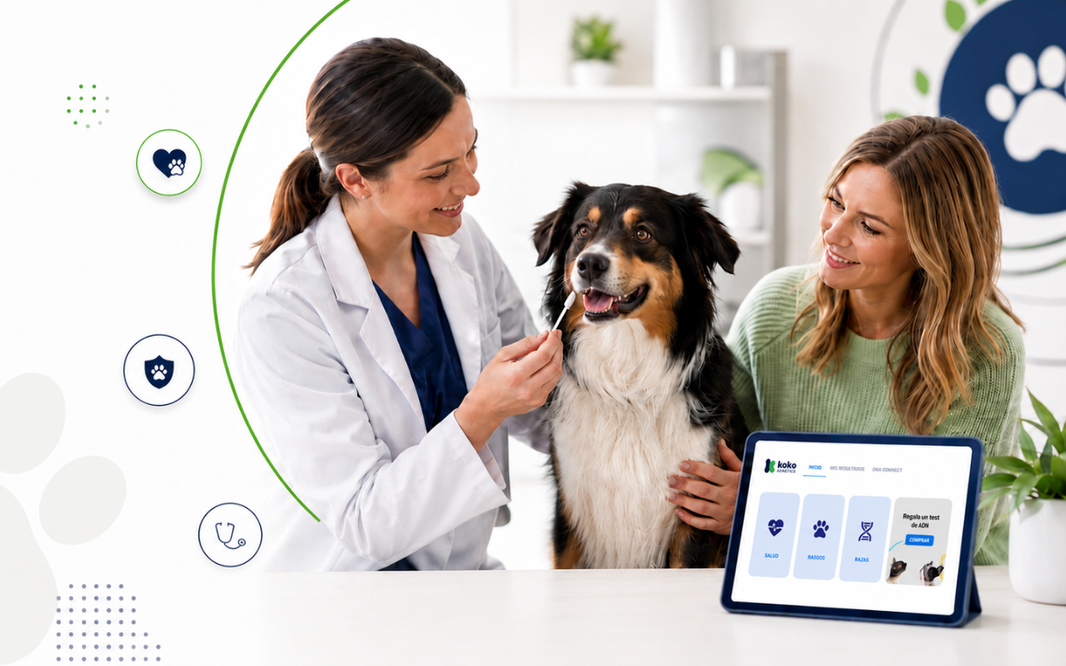 ¿Puede mi veterinario realizar un test de ADN a mi perro? El nuevo estándar en medicina preventiva