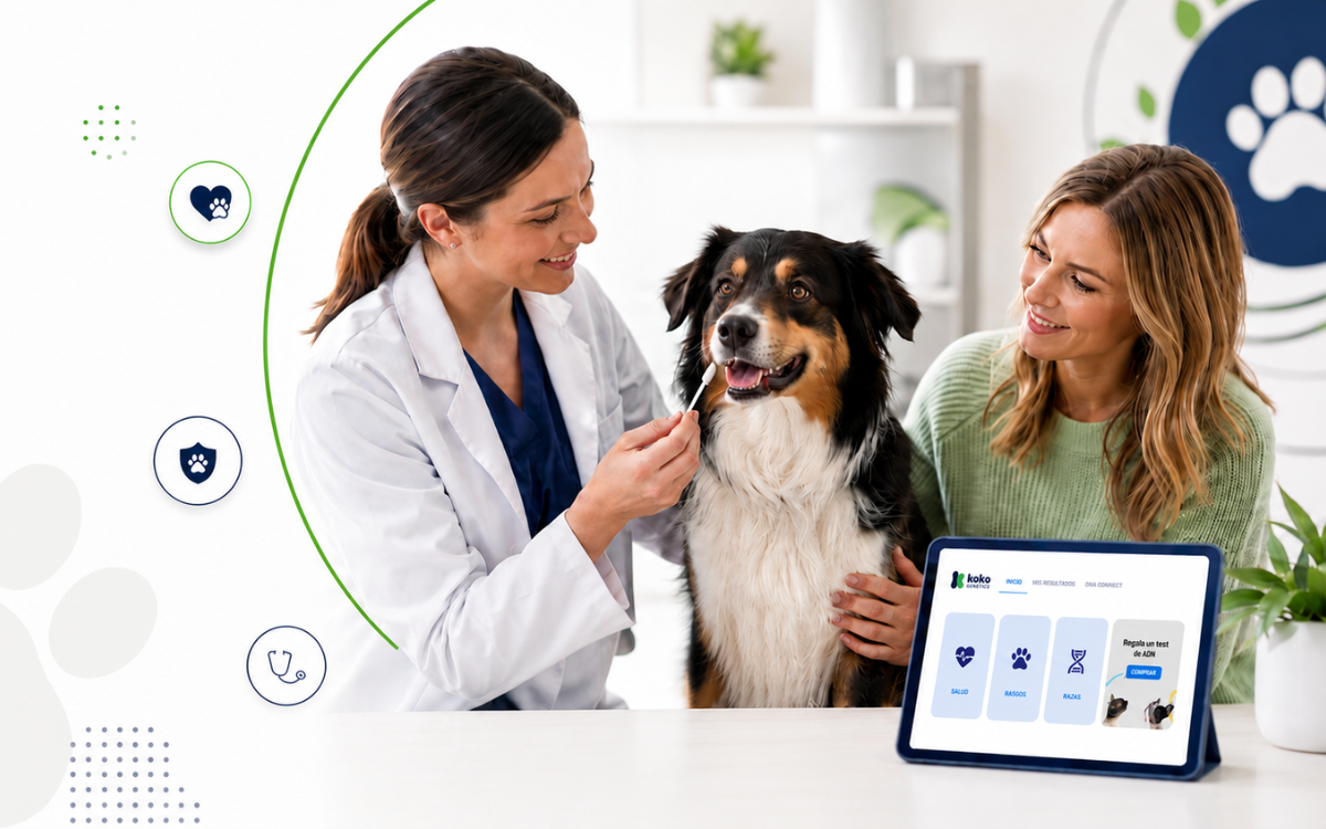 ¿Puede mi veterinario realizar un test de ADN a mi perro? El nuevo estándar en medicina preventiva