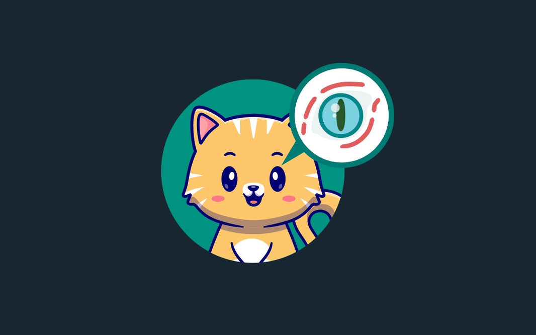 Así ven los colores los gatos