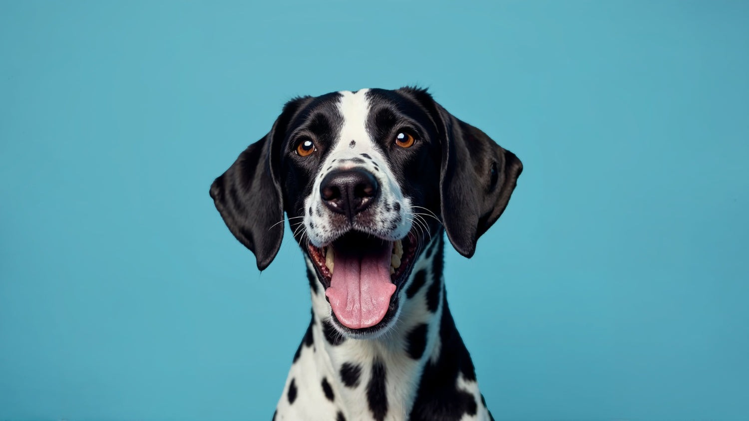 Pruebas de ADN para Perros