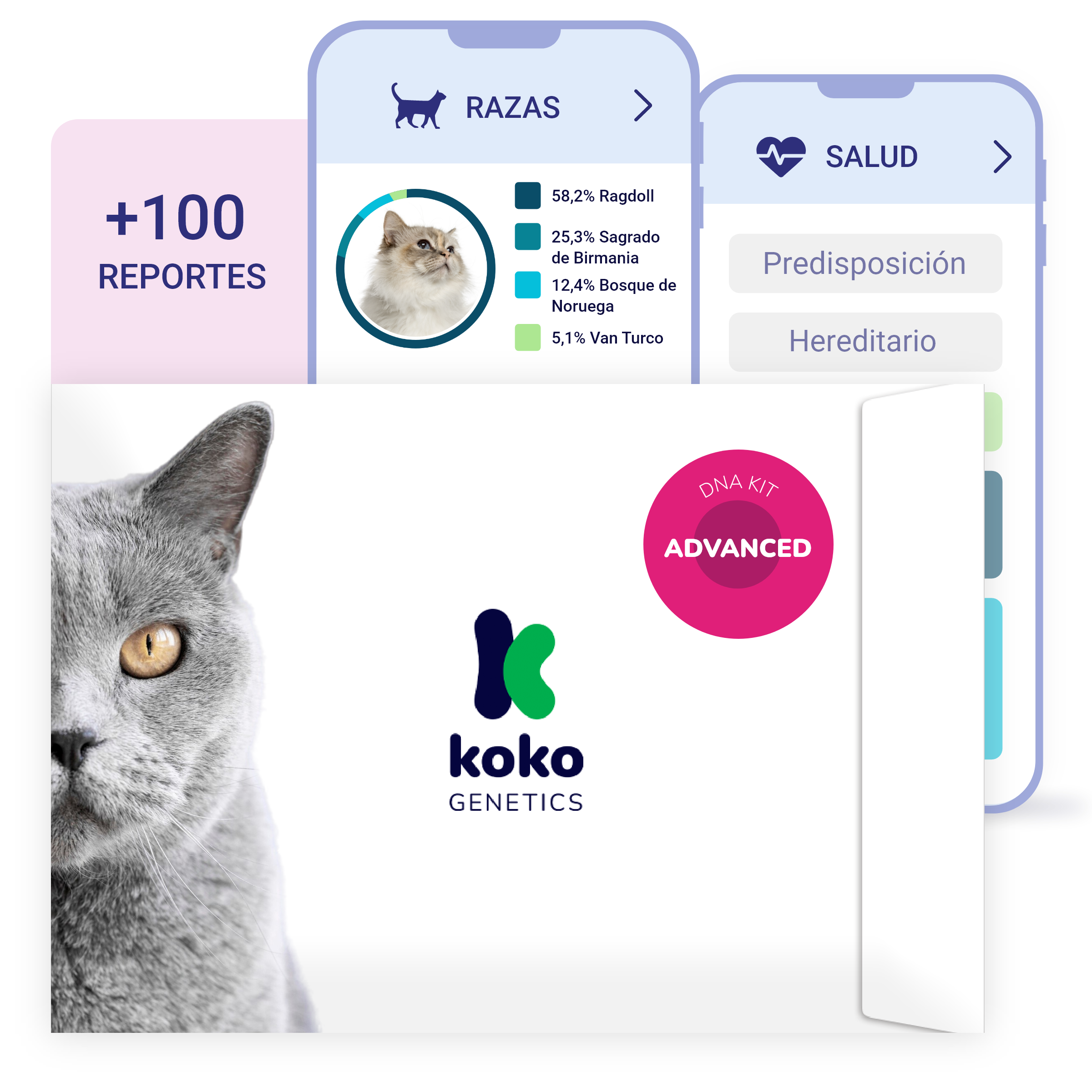 Advanced Cat DNA Test