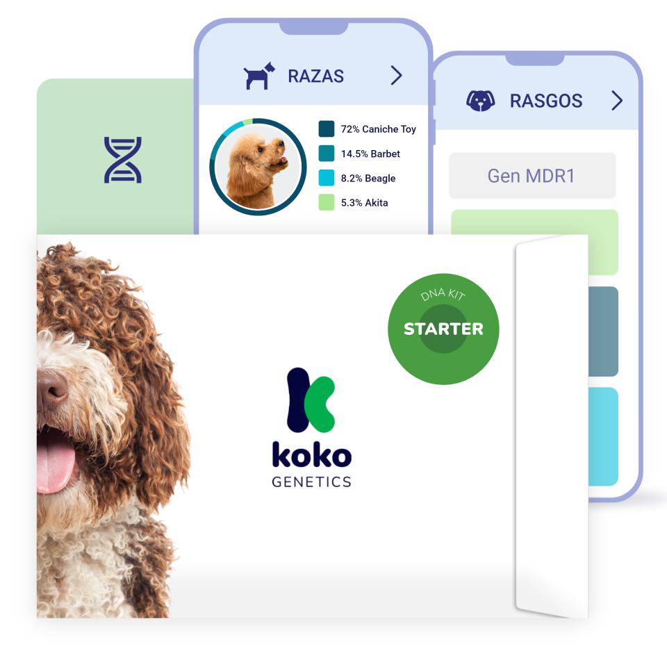 DNA Test for Dogs Starter