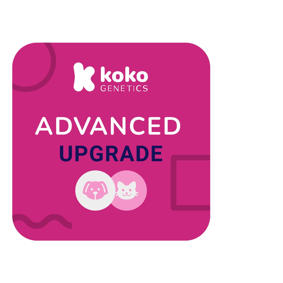 Advanced Upgrade - Koko Pets